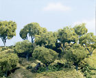Tk25 3 Woodland " Trees 2 To From Hardwood 6-1 Tree 5-1 Heights Scenics