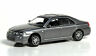38491 Ricko Ho Metallic Gray European Automobile Mg Sedan 836664004913