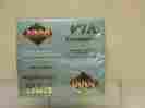 920-40589 Proto 2000 Limited Edition Ho Le Rtr F7a B Pwd Diesel G.n Rr 269a Factory Sealed