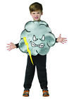 Ri6306-s Rasta Imposta Storm Cloud Costume For Children 791249630645