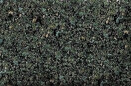 Scenic Express Sex883b 32 Oz Conifer Floor Blend