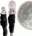 U31 Evan Designs Led Solid Clwht 852120002132