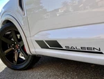Oem Saleen Fader Decals Lower Door Trim New 2PC Fits Trucks Gt 5.0 Cars Oracle. Fixed Price $57.99.