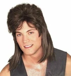 Mullet Wig Brown Adult Costume Hair Redneck Trailer Hillbilly 70S 80S Rocker Joe. Fixed Price $14.95.