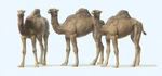 Preiser 20397 Ho/oo Gauge Circus Dromedary Camels (3) Figure Set. Fixed Price $21.00.