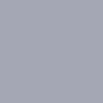 Tru-color 271 Delaware Hudson D&h Passenger Car Gray, Oz. Acrylic Model. Fixed Price $7.99.