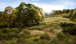 Woodland Scenics 644 All Scale Field System Static-tac Adhesive, 12OZ. Fixed Price $15.99.