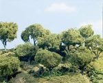 Woodland Scenics New 2026 Three Hardwood Trees TK25. Fixed Price $33.77.