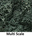 Lichen Dark Green Comes In Bag 86.6 (1.41 Dm ) -WOO-L164. Fixed Price $14.39.