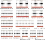 200PCS Diode Assorted Kit (1N4001 1N4004 1N4007 RL207 1N5404 1N5406 1N5408 UF400. Fixed Price $14.87.