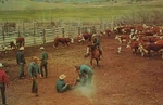 Branding Time Cows Cattle Western Farm Life Live Stalk Vintage Chrome Post Card. Fixed Price $7.14.