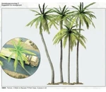 Preiser 18600 Ho Scale 4 Palm Trees Kit Model Scenes. Fixed Price $23.88.