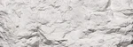 Woodland Scenics C1216 Earth Color - White (4 Oz.). Fixed Price $7.99.