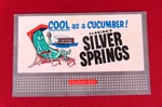 Ho - Lionel Postwar Silver Springs Billboard "outdoor Adv" Cool As Cucumber!. Fixed Price $13.95.