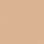 Tru-color FS-30279 Sand 1OZ Hobby Model Solvent Paint #1222. Fixed Price $8.15.