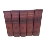 5PC Charles Dickens 1887 Books Copperfield Dombey Chuzzlewit Bleak Barnaby Box. Fixed Price $184.00.