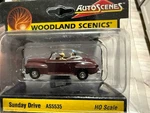 Woodland Scenics Autoscenes Sunday Drive Ho Scale Figures & Car AS5535. Fixed Price $20.00.