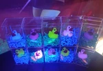 Rubber Duck And Ring Set Of 3 Plastic Animal Theme Assorted Colors. Fixed Price $9.99.