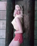 Jayne Mansfield Wearing Sleeveless Sweater Pointy Bra Red Shorts- Old Photo. Fixed Price $6.52.