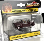 Woodland Scenics AS5535 Ho Scale Sunday Drive Nip. Fixed Price $26.00.