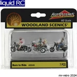 Woodland Scenics AS5549 Ho Born To Ride. Fixed Price $24.42.