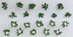 Jtt Scenery Products 95529 - Ho Scale Broccoli And Cauliflower 20/PK. Fixed Price $9.75.