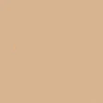 Tru-color FS-30279: Sand Military Acrylic 1OZ 29.6ML TCP-1222. Fixed Price $9.98.
