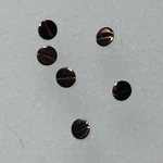 Ratchet Wheel Screw For A. Schild (as) Cal. 1012 New-old Stock. Fixed Price $10.00.