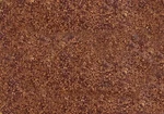 Walthers Scenemaster Ho Leaves Ground Cover Reddish-brown 949-1209. Fixed Price $10.98.