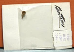 Kemtron Ho Switch Engine Headlight # 5648. Fixed Price $10.80.